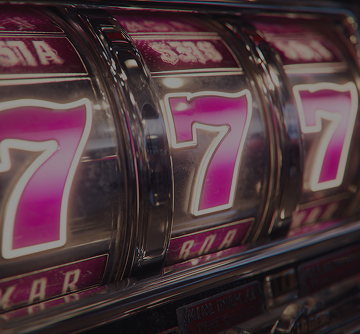 Live Bingo Casino